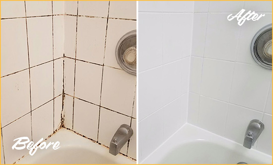 Before and After Picture of a Debary Shower Tile and Grout Cleaned to Eliminate Mold