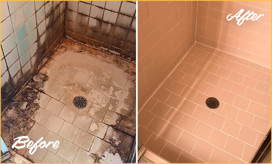 Before and After Picture of a Debary Shower Tile and Grout Cleaned to Repair Water Damage