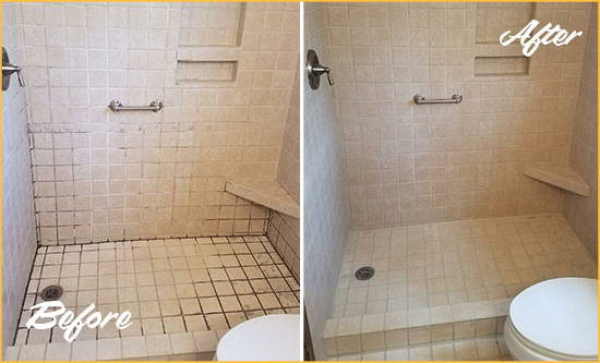 Before and After Picture of a Port Orange Shower Grout Cleaned to Remove Mold